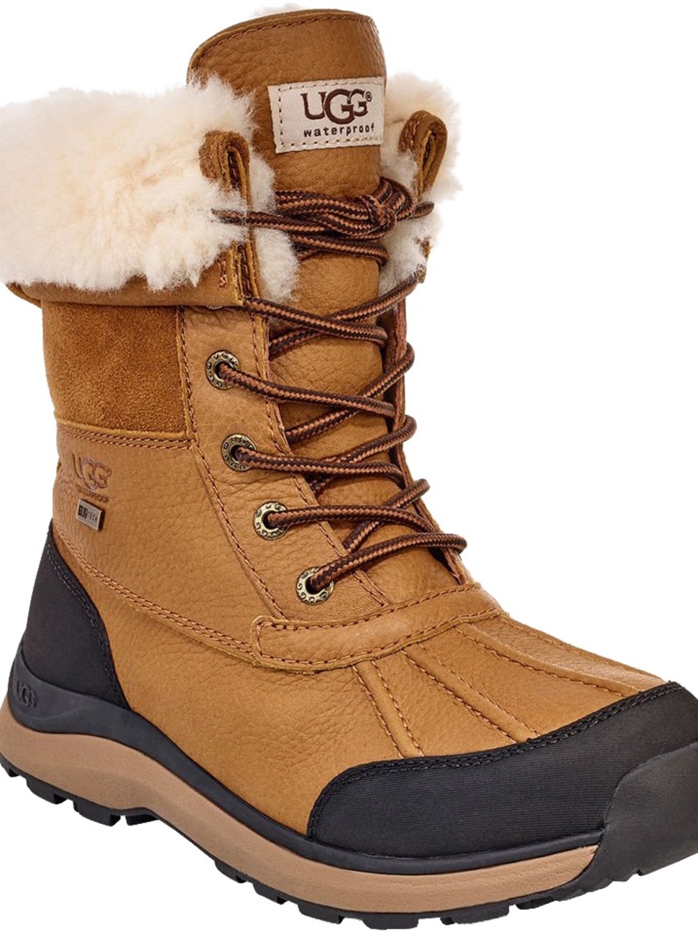UGG Women's Waterproof Boot in Chestnut with Black Trim